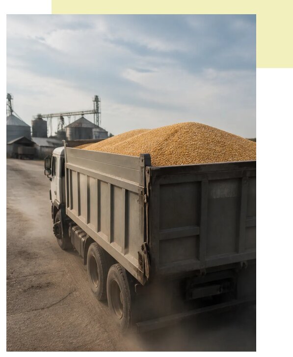 Перевозка сельхозпродукции навалом в Кулебаки по цене от 3092 р. | Агросервис-Клб